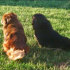 Meet your Posher, Tonya